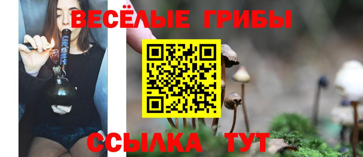 Георгиевск  Галлюциногенные грибы Magic Shrooms  Галлюциногенные грибы прущие грибы  Вход с VPN 